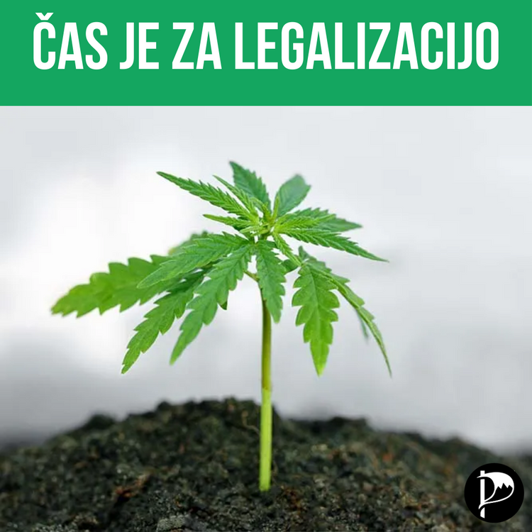 Še je čas za legalizacijo konoplje