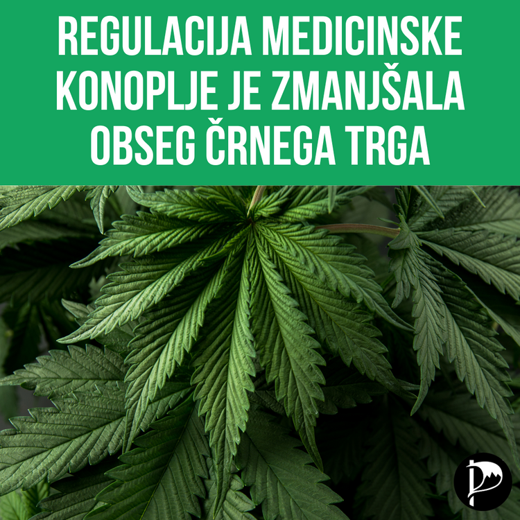 Regulacija medicinske konoplje je zmanjšala obseg črnega trga