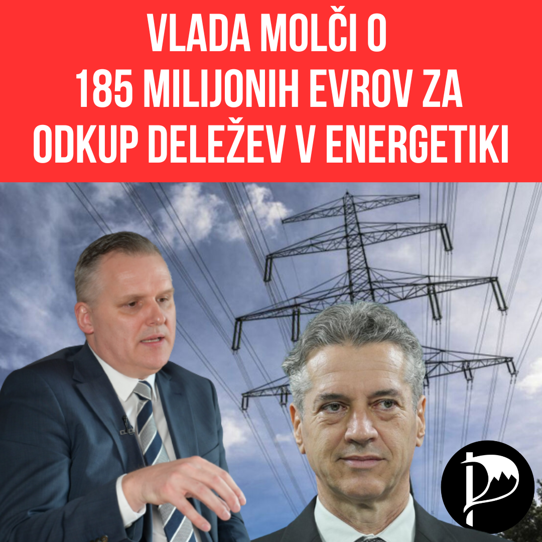 Zakaj vlada vztraja pri iztisnitvi malih delničarjev elektrodistribucijskih podjetij?