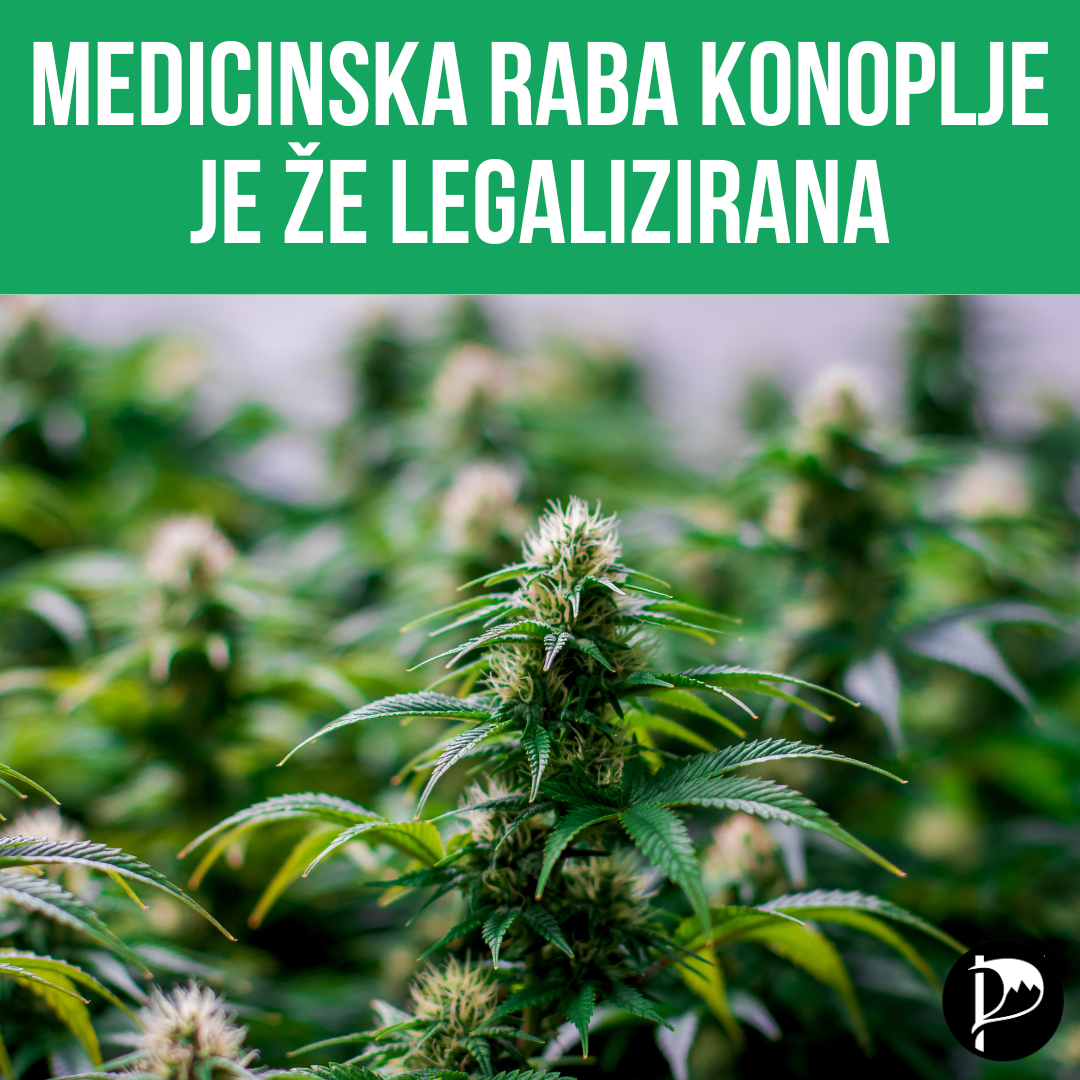 Referendum o legalizaciji medicinske konoplje je nesmiseln, saj je ta že legalna