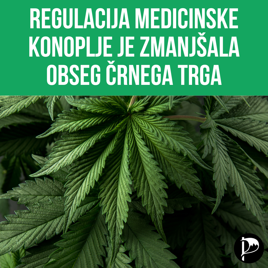 Regulacija medicinske konoplje je zmanjšala obseg črnega trga